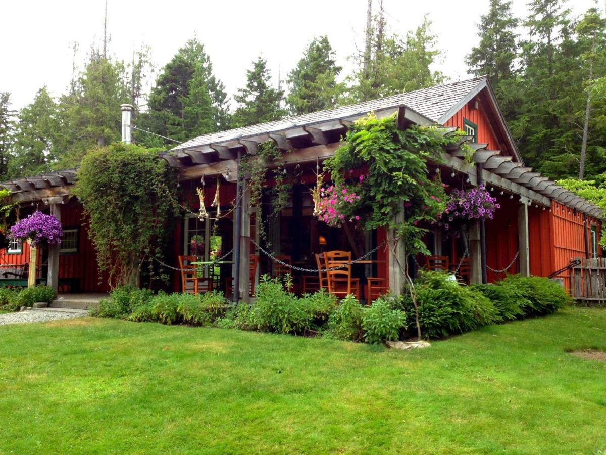 Ecolodge - Tofino Bagian luar foto