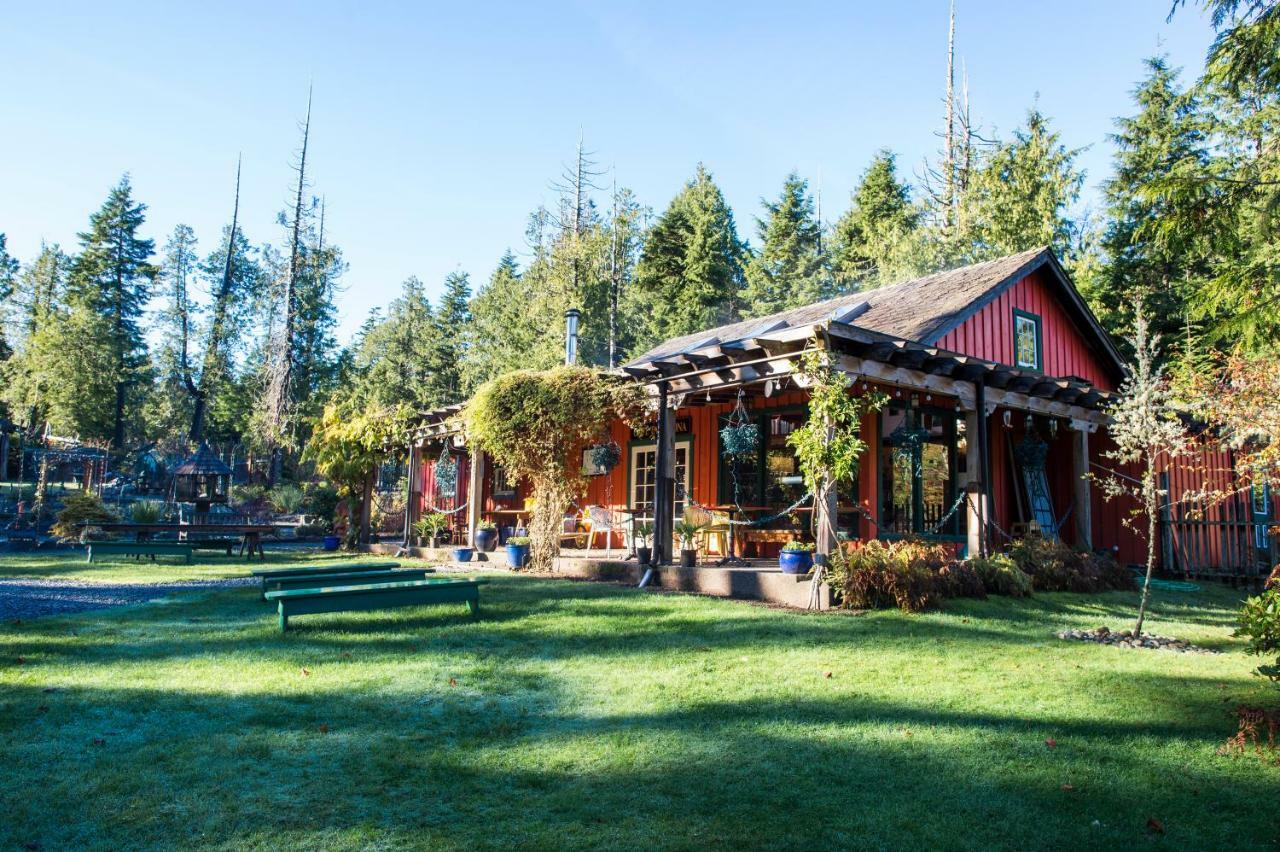 Ecolodge - Tofino Bagian luar foto